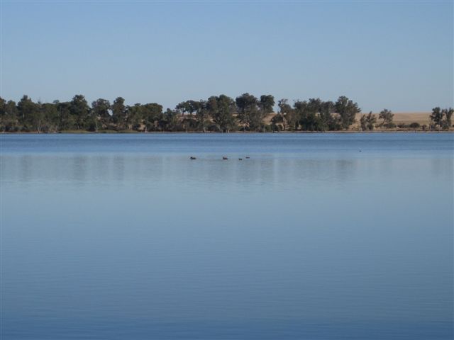 Lake Towerrinning