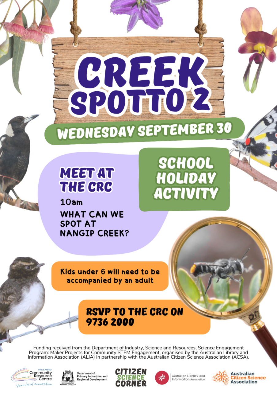 Creek Spotto 2