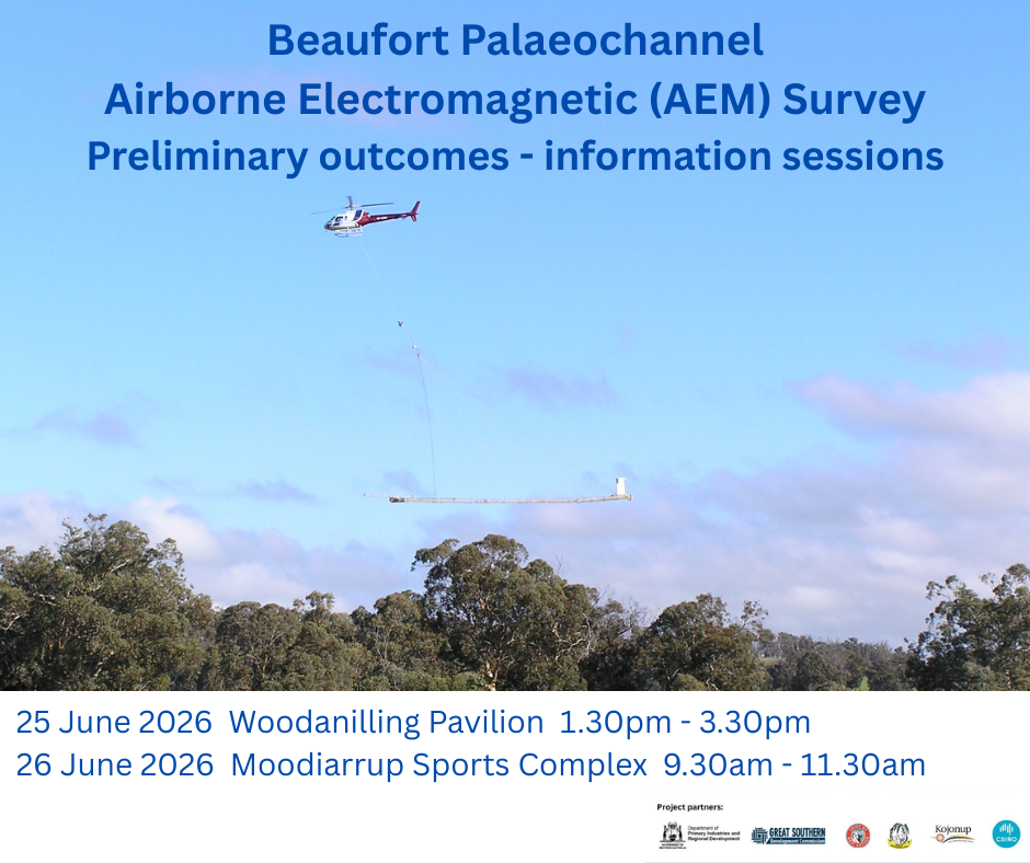 Beaufort Palaeochannel AEM