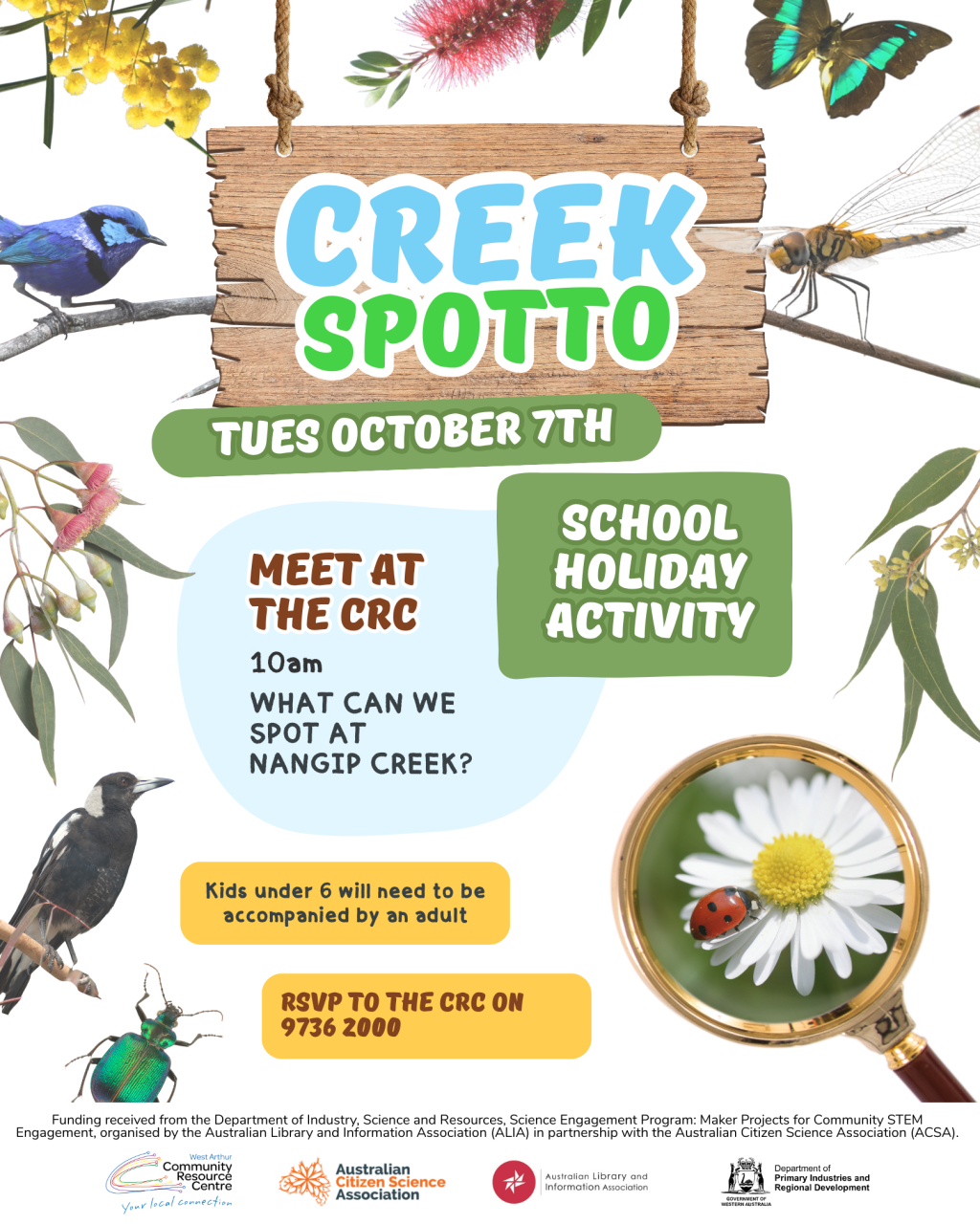 Creek Spotto