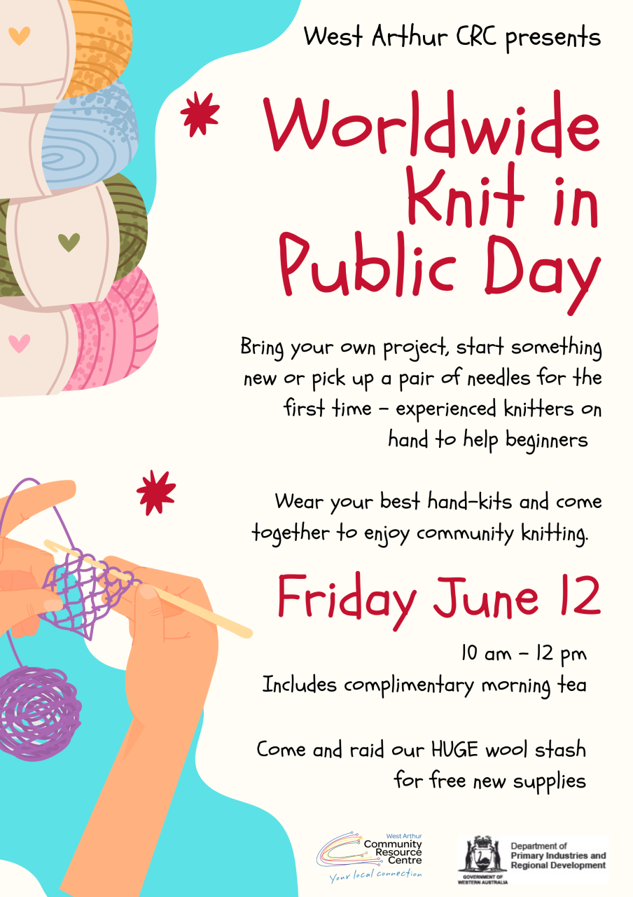 Worldwide Knit in Public Day